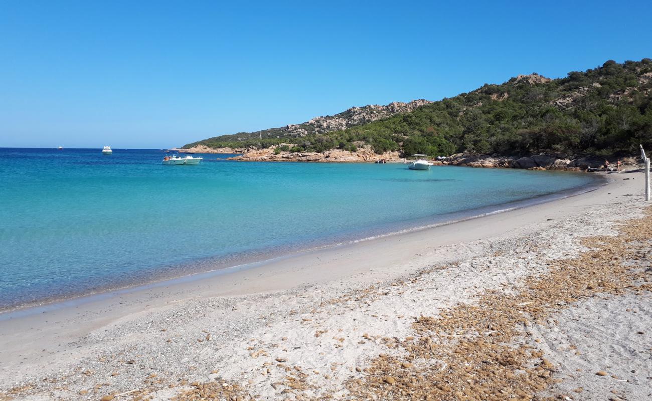 Plage De Porto-Novo'in fotoğrafı parlak kum yüzey ile