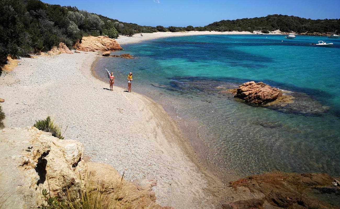 Plage de Rondinara II'in fotoğrafı parlak kum yüzey ile