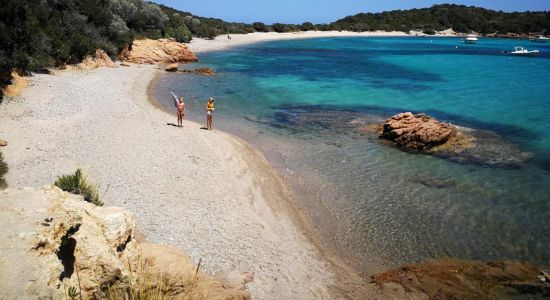 Plage de Rondinara II