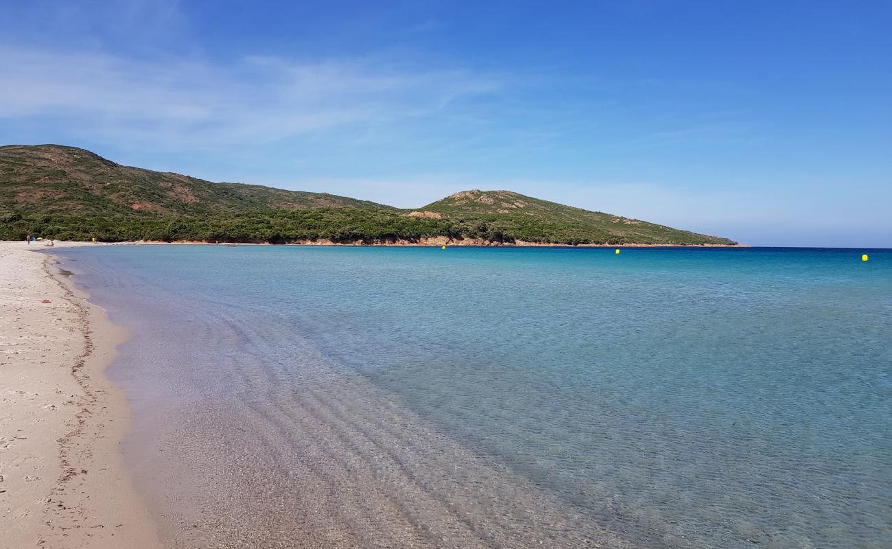 Plage de Balistra'in fotoğrafı açık bej kum yüzey ile