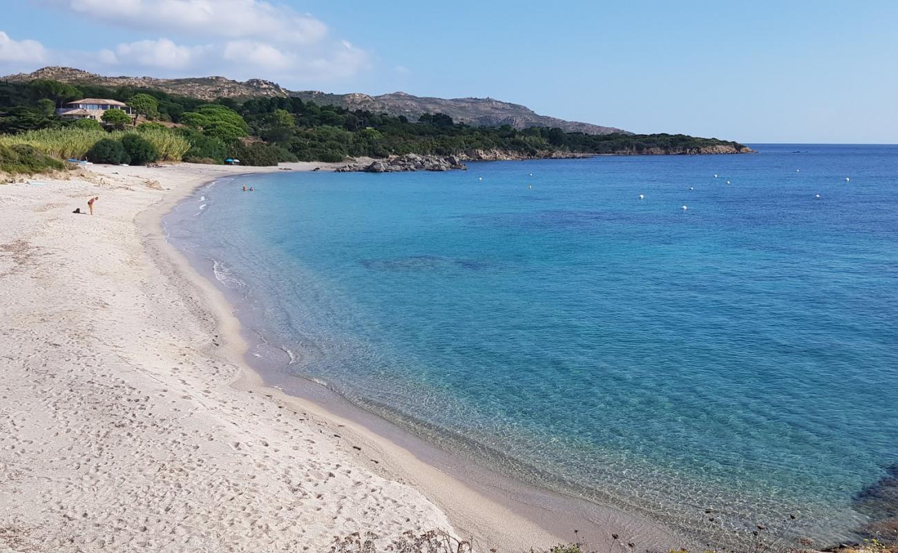 Plage de Cala longa III'in fotoğrafı açık bej kum yüzey ile