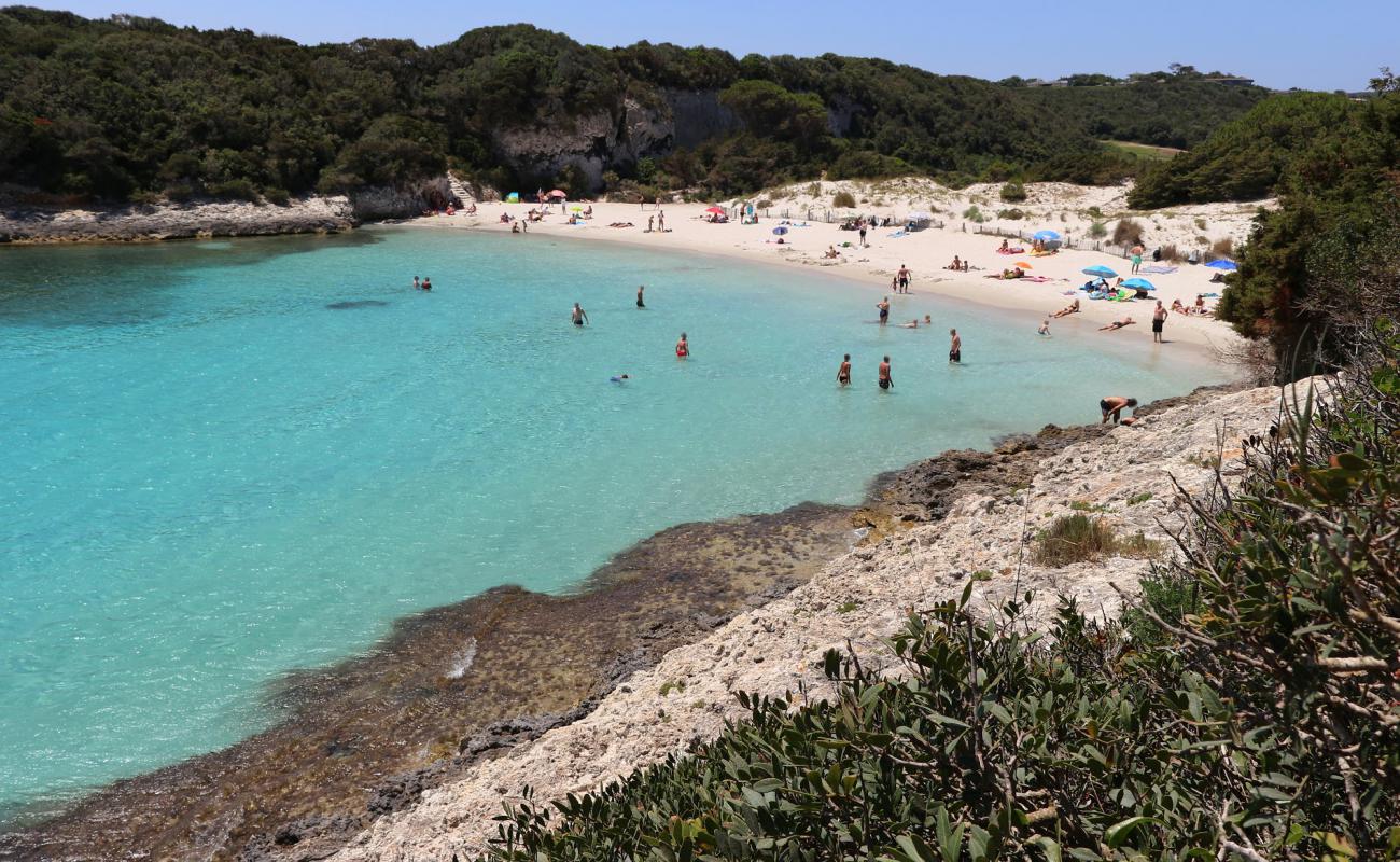 Petit Sperone Plajı'in fotoğrafı parlak ince kum yüzey ile