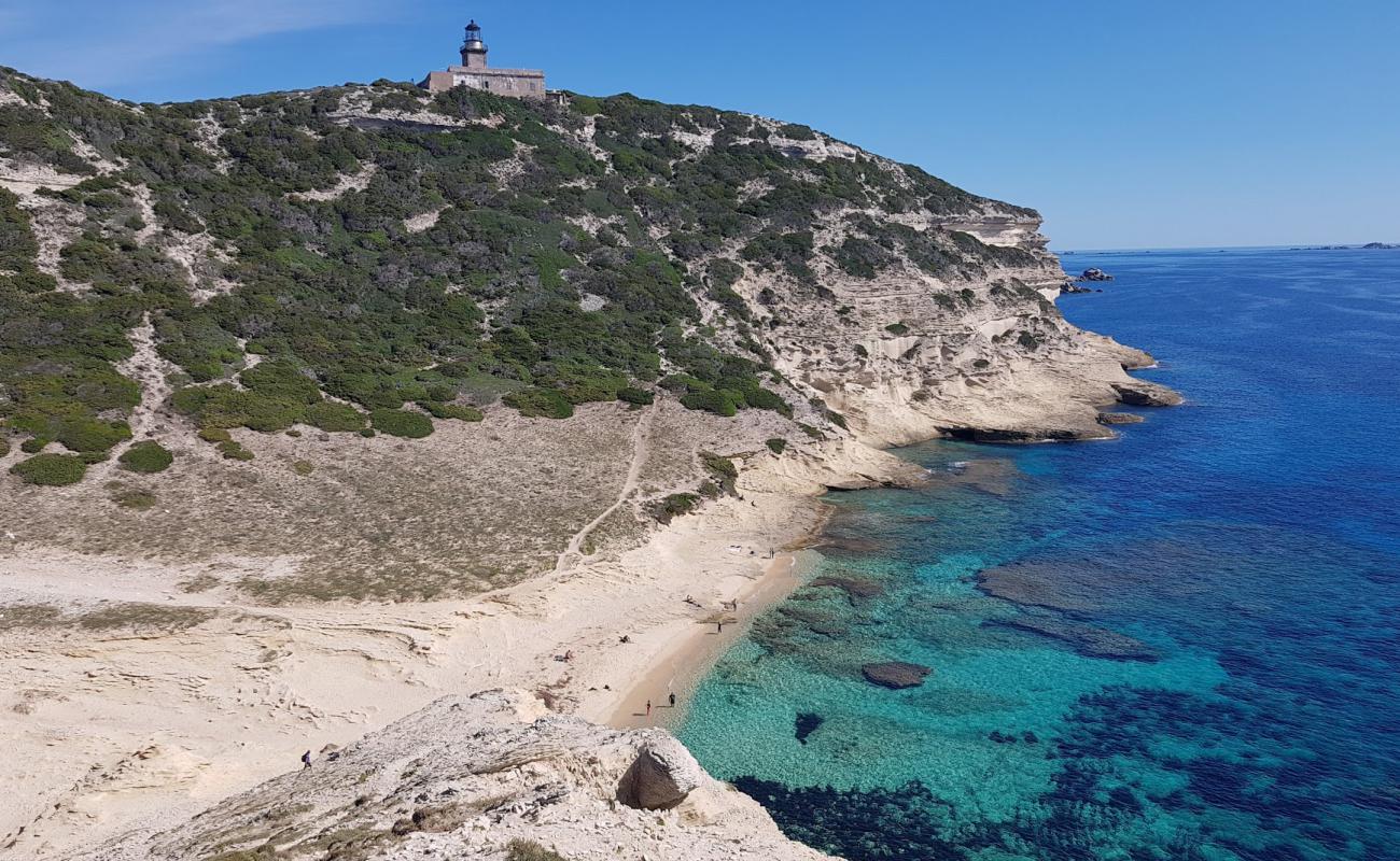 Plage de Saint-Antoine'in fotoğrafı açık bej kum yüzey ile