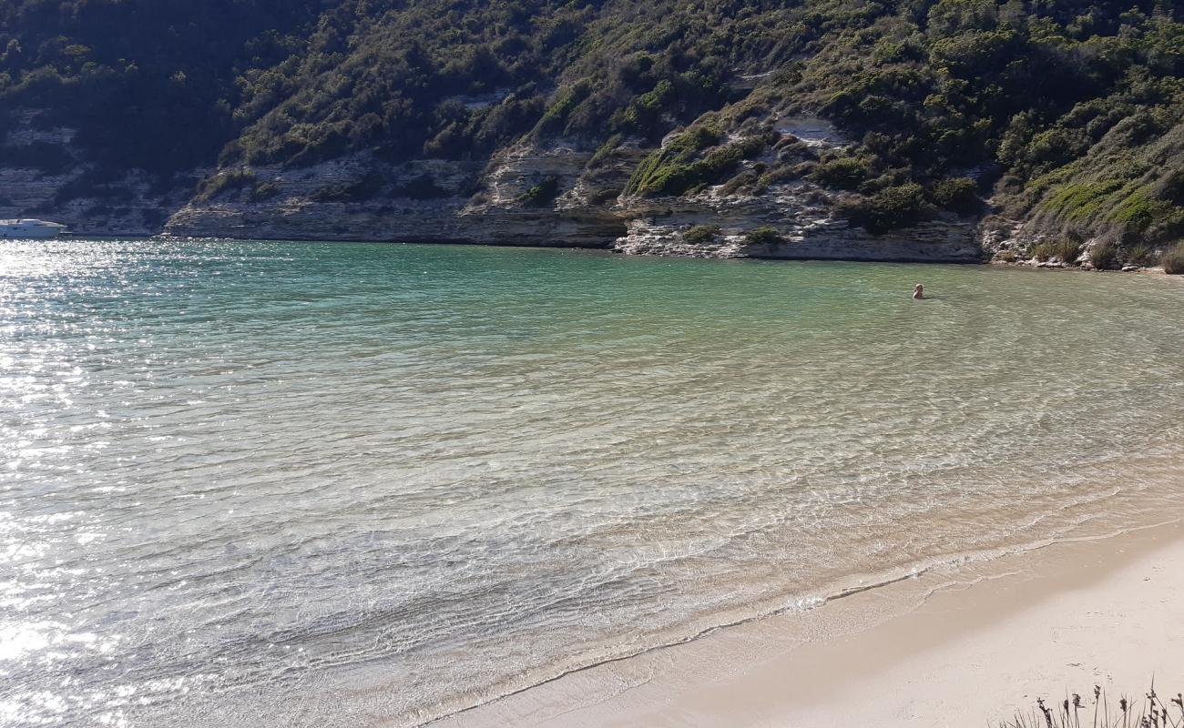 La Cayenne beach'in fotoğrafı açık bej kum yüzey ile