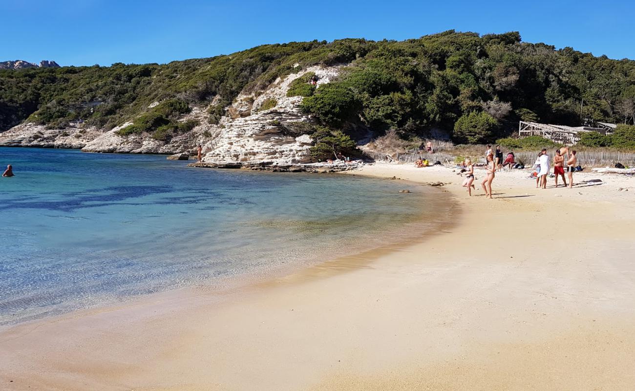 Fazzio beach'in fotoğrafı parlak kum yüzey ile