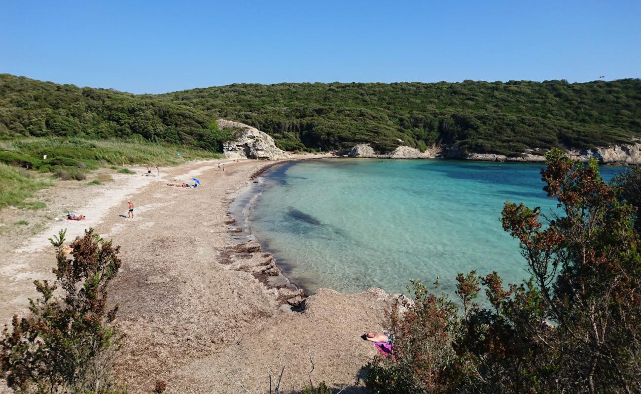 Paraguan beach'in fotoğrafı hafif çakıl yüzey ile