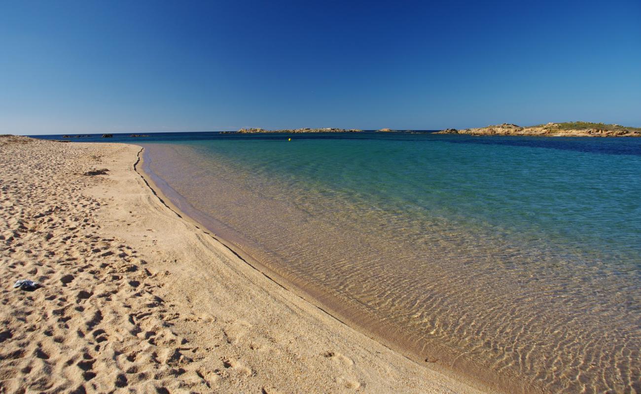 Tonnara beach'in fotoğrafı i̇nce bej kum yüzey ile