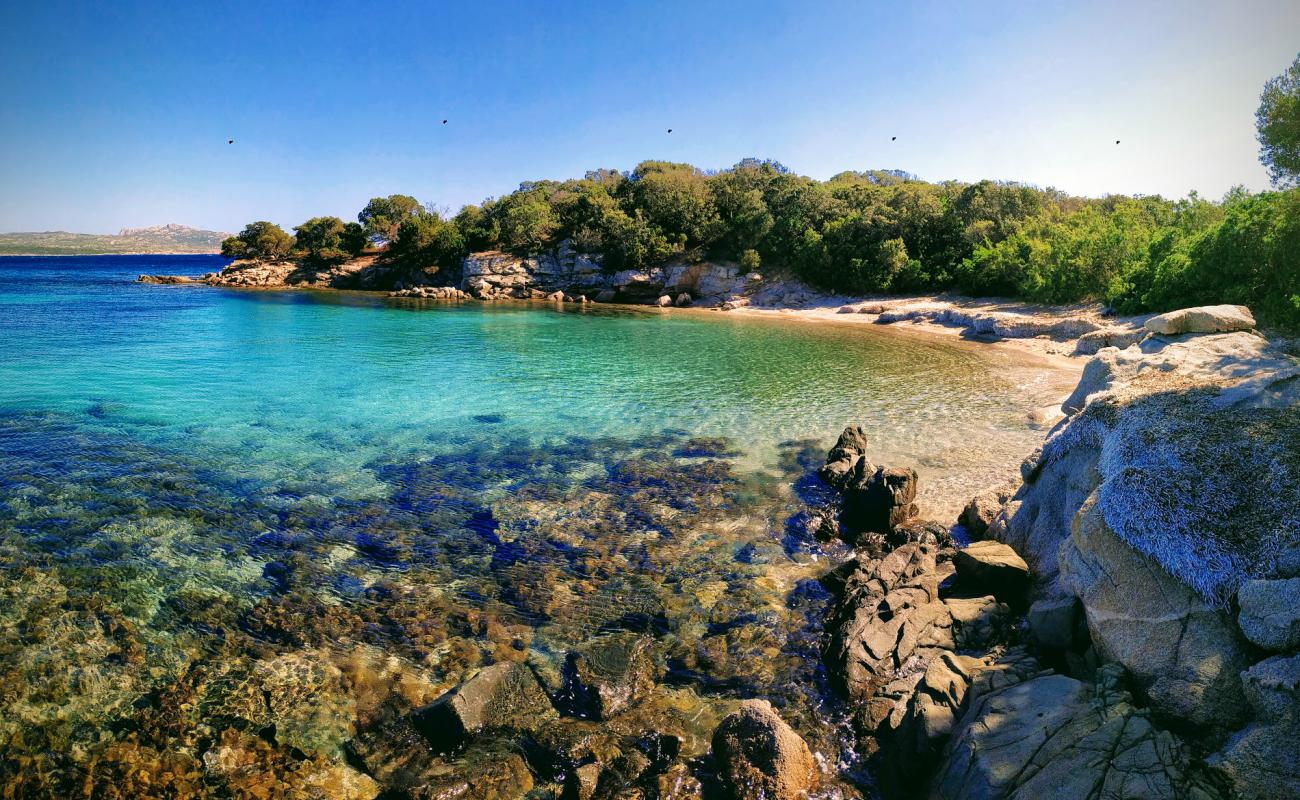 La Testa beach'in fotoğrafı parlak kum yüzey ile