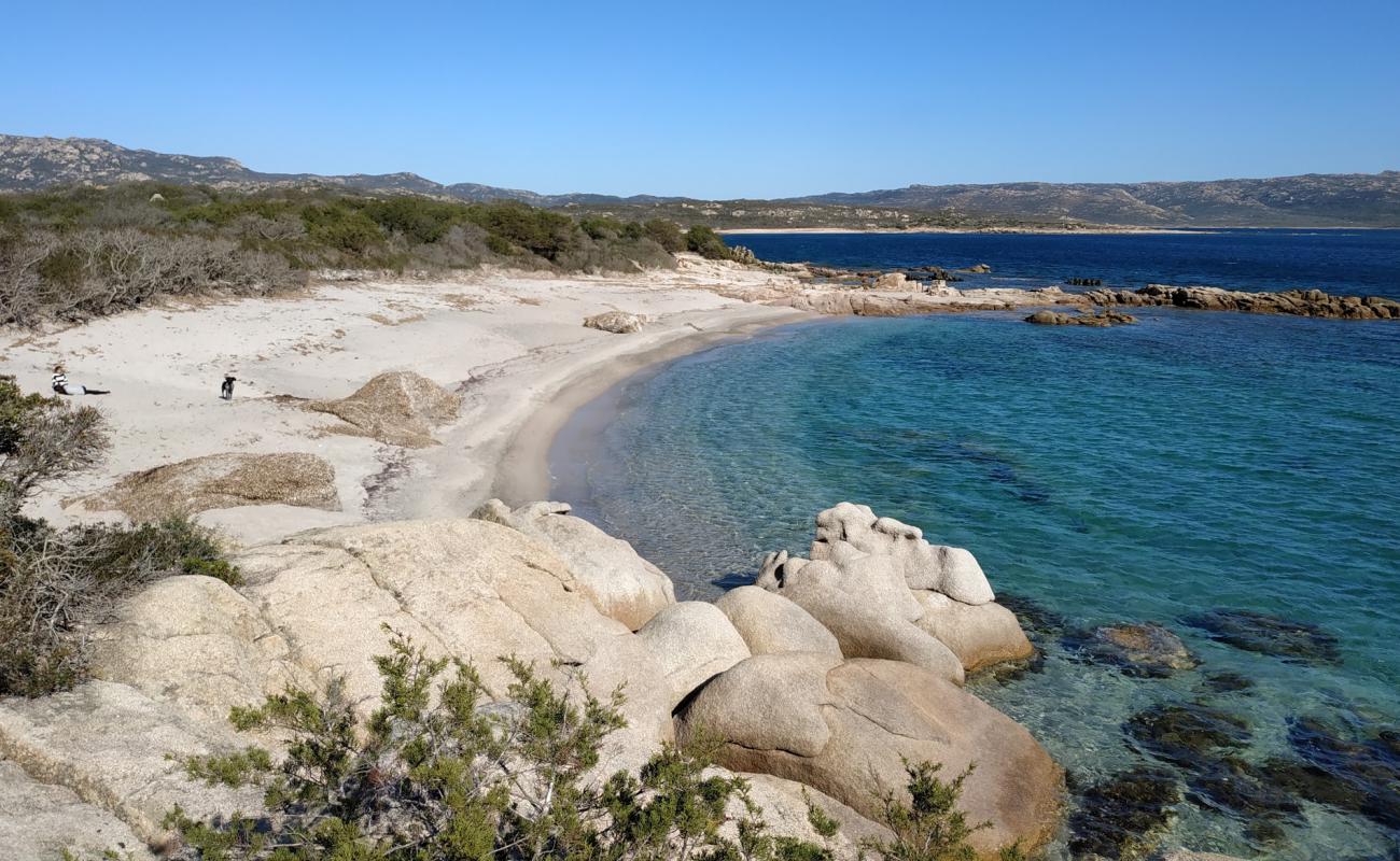 La Testa beach II'in fotoğrafı parlak kum yüzey ile