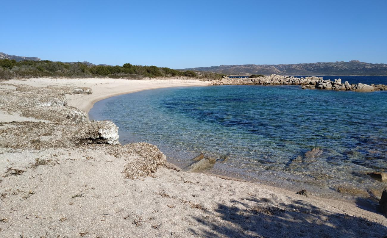 La Testa beach III'in fotoğrafı açık bej kum yüzey ile