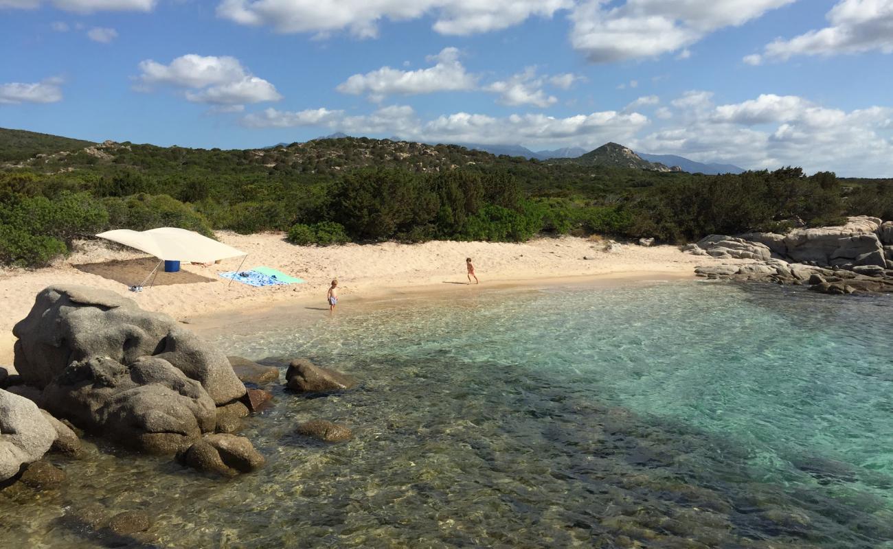 La Testa beach IV'in fotoğrafı i̇nce bej kum yüzey ile