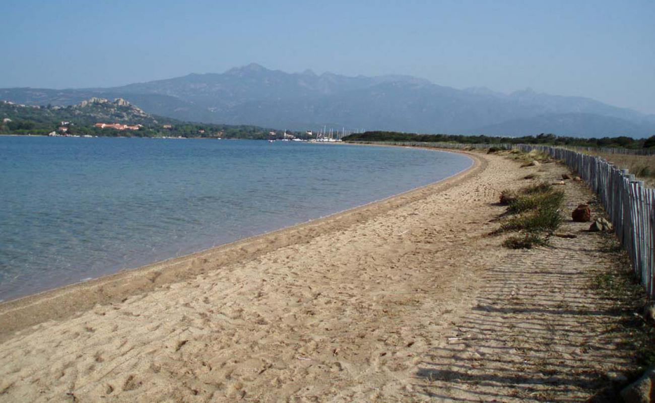 Eole Figari'in fotoğrafı parlak kum yüzey ile