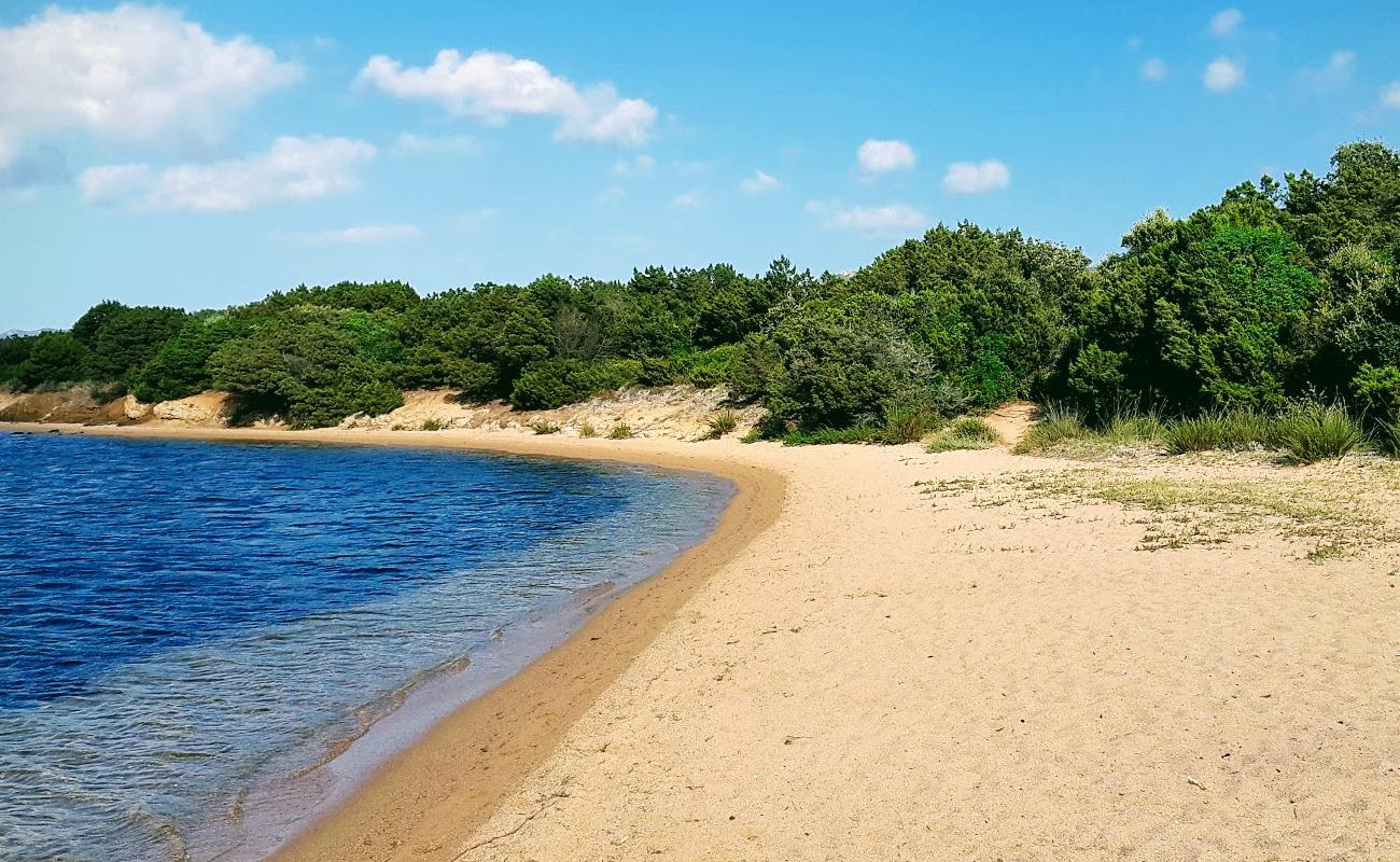 Figari beach'in fotoğrafı i̇nce bej kum yüzey ile