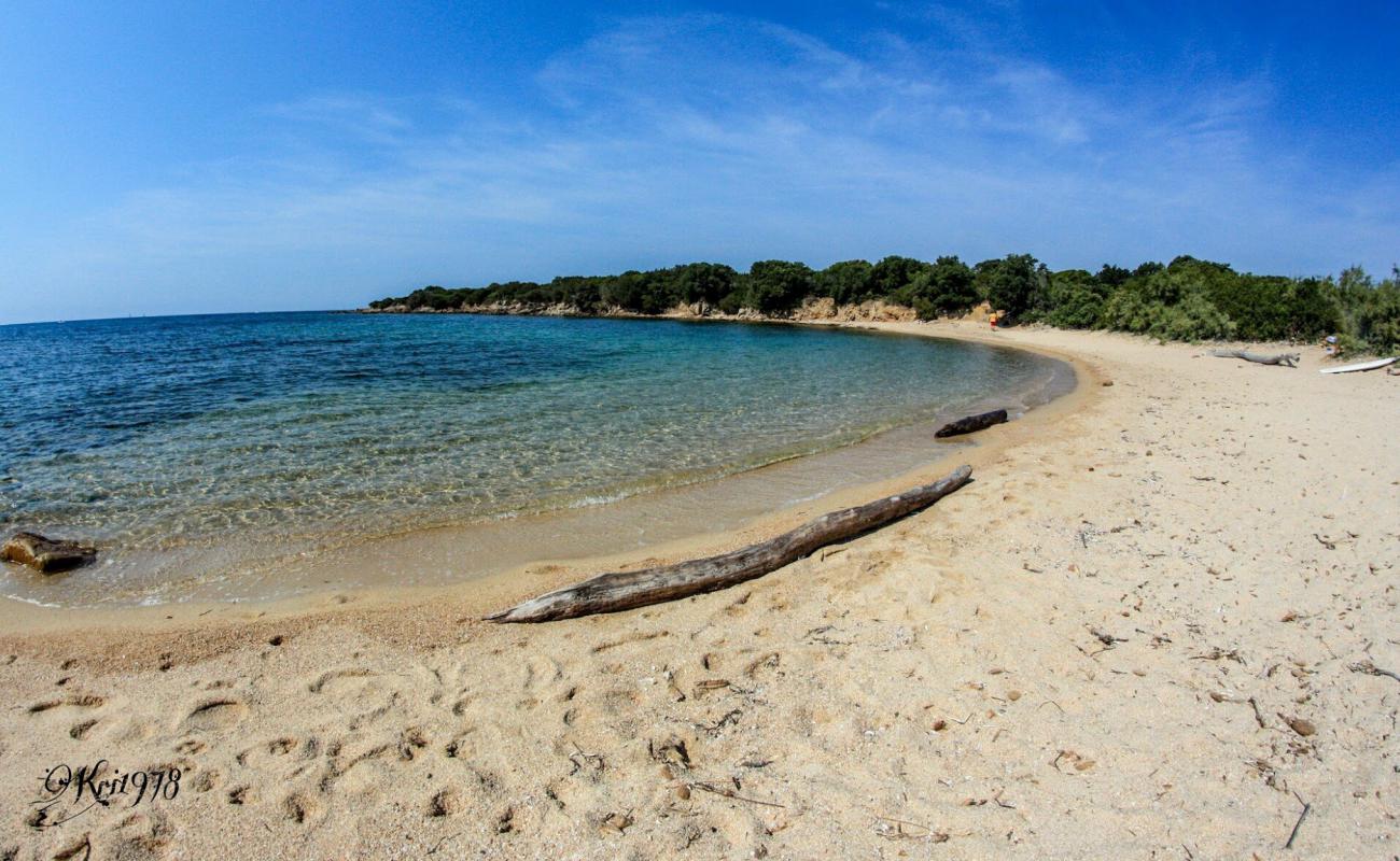 Arbitru beach'in fotoğrafı parlak kum yüzey ile