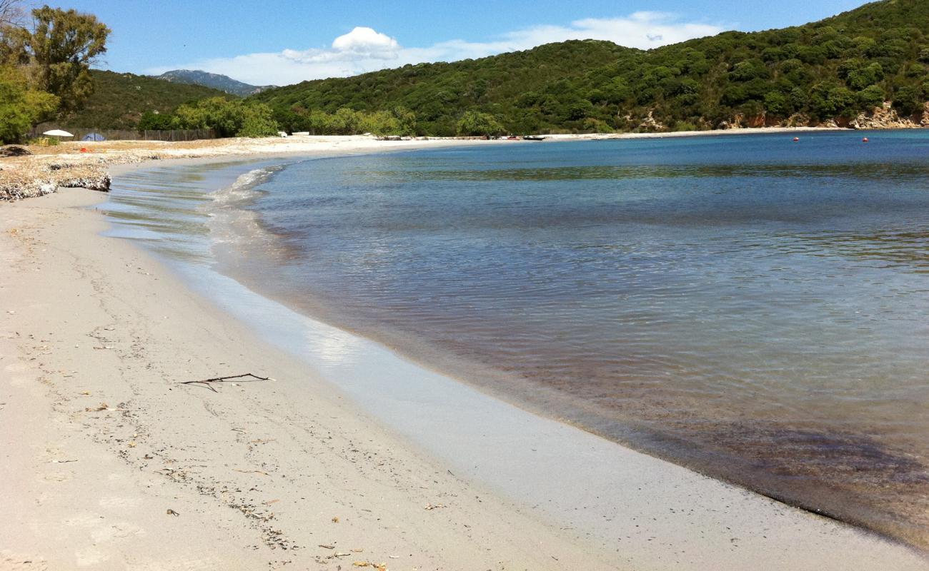 Plage de Furnellu II'in fotoğrafı parlak kum yüzey ile