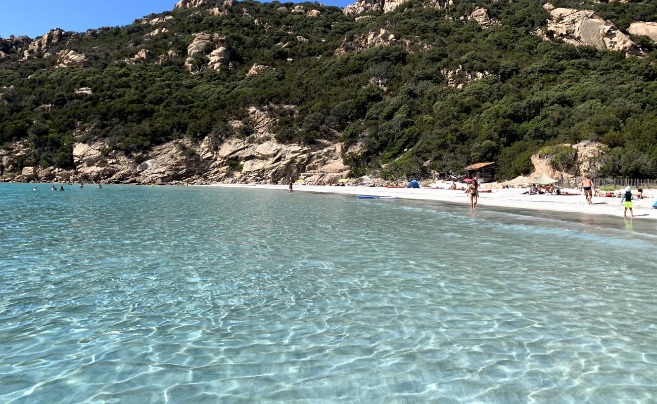 Roccapina Plajı'in fotoğrafı parlak kum yüzey ile