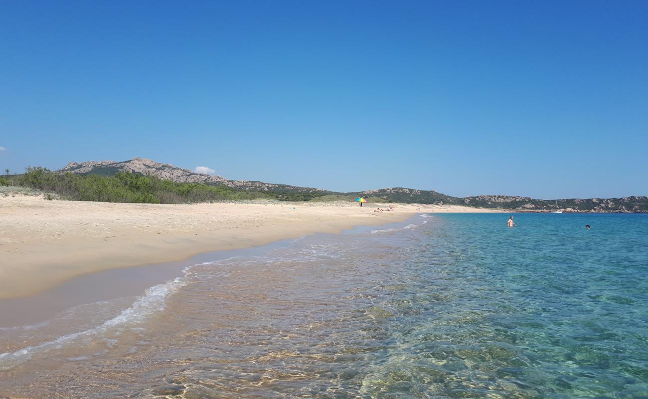 Tralicetu Plajı'in fotoğrafı parlak ince kum yüzey ile