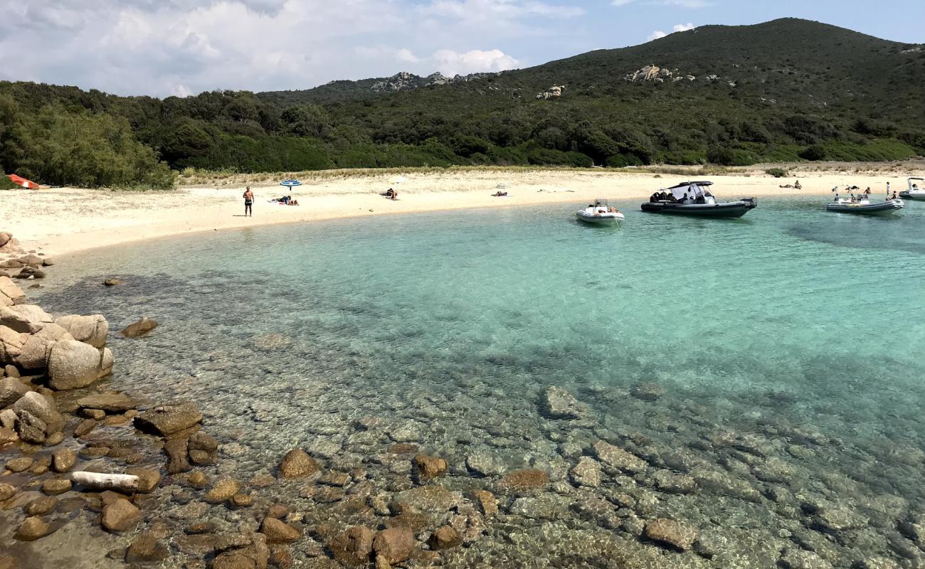 Cala di Conca'in fotoğrafı parlak kum yüzey ile