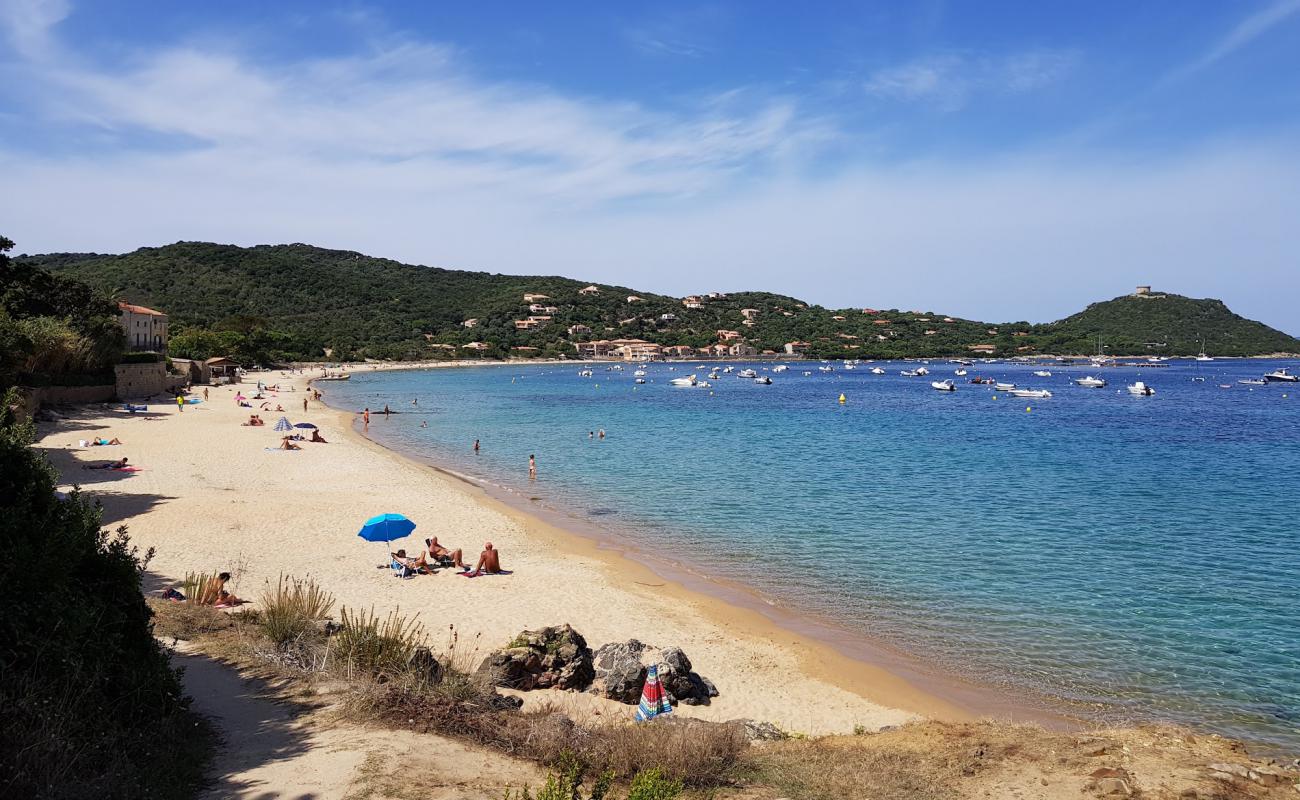 Campomoro Plajı'in fotoğrafı parlak kum yüzey ile