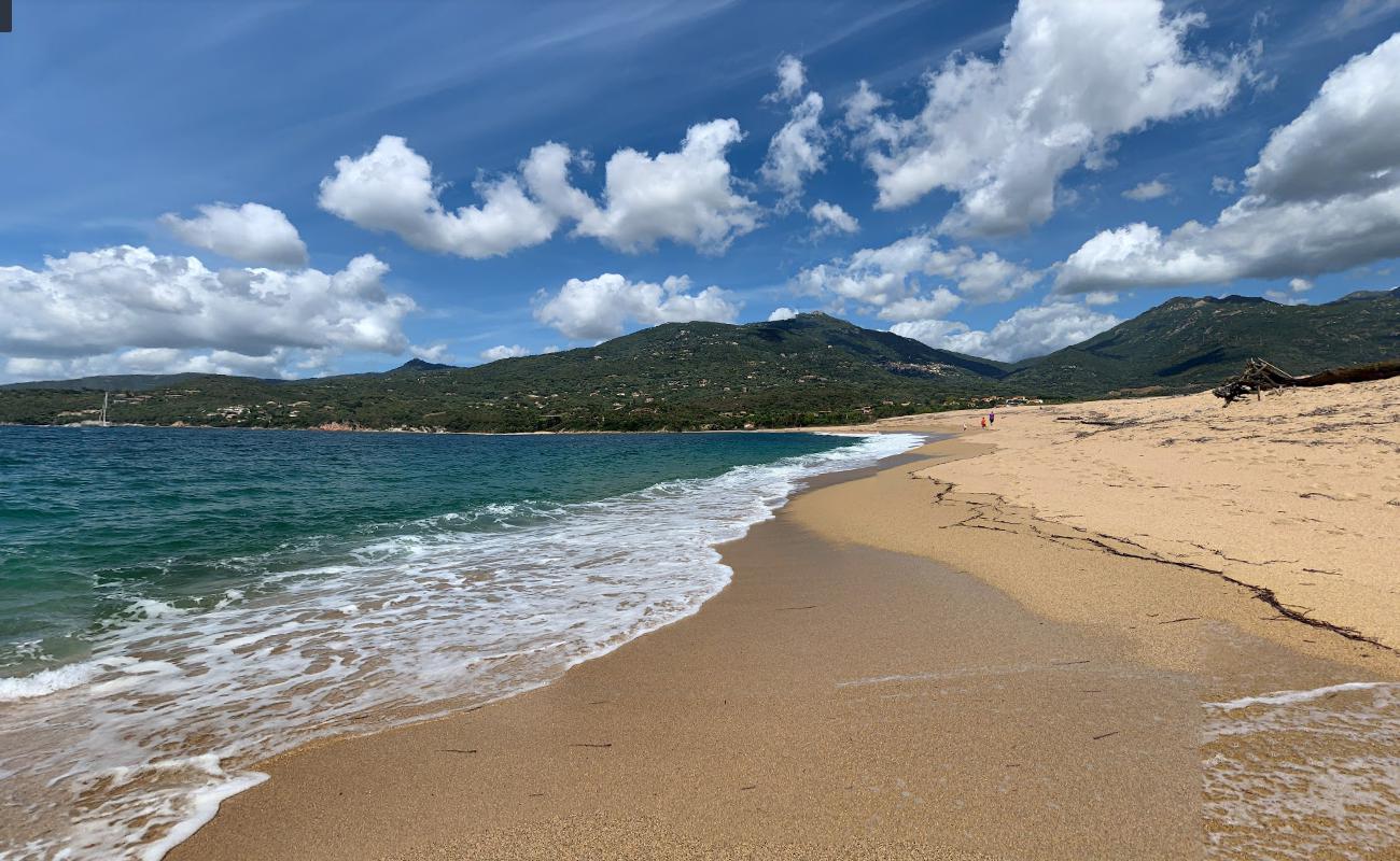 Baraci beach'in fotoğrafı vahşi alan