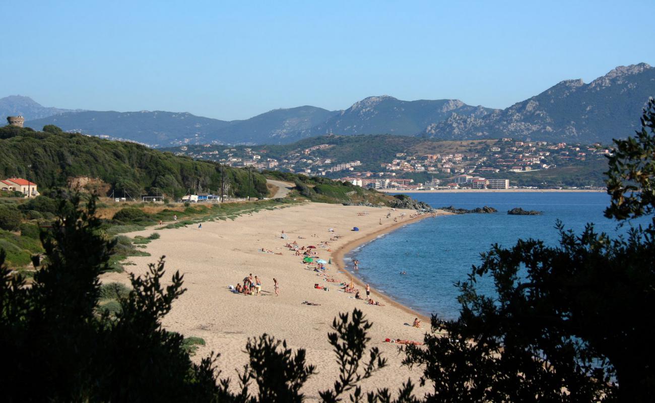 Aglio Camping beach'in fotoğrafı parlak ince kum yüzey ile