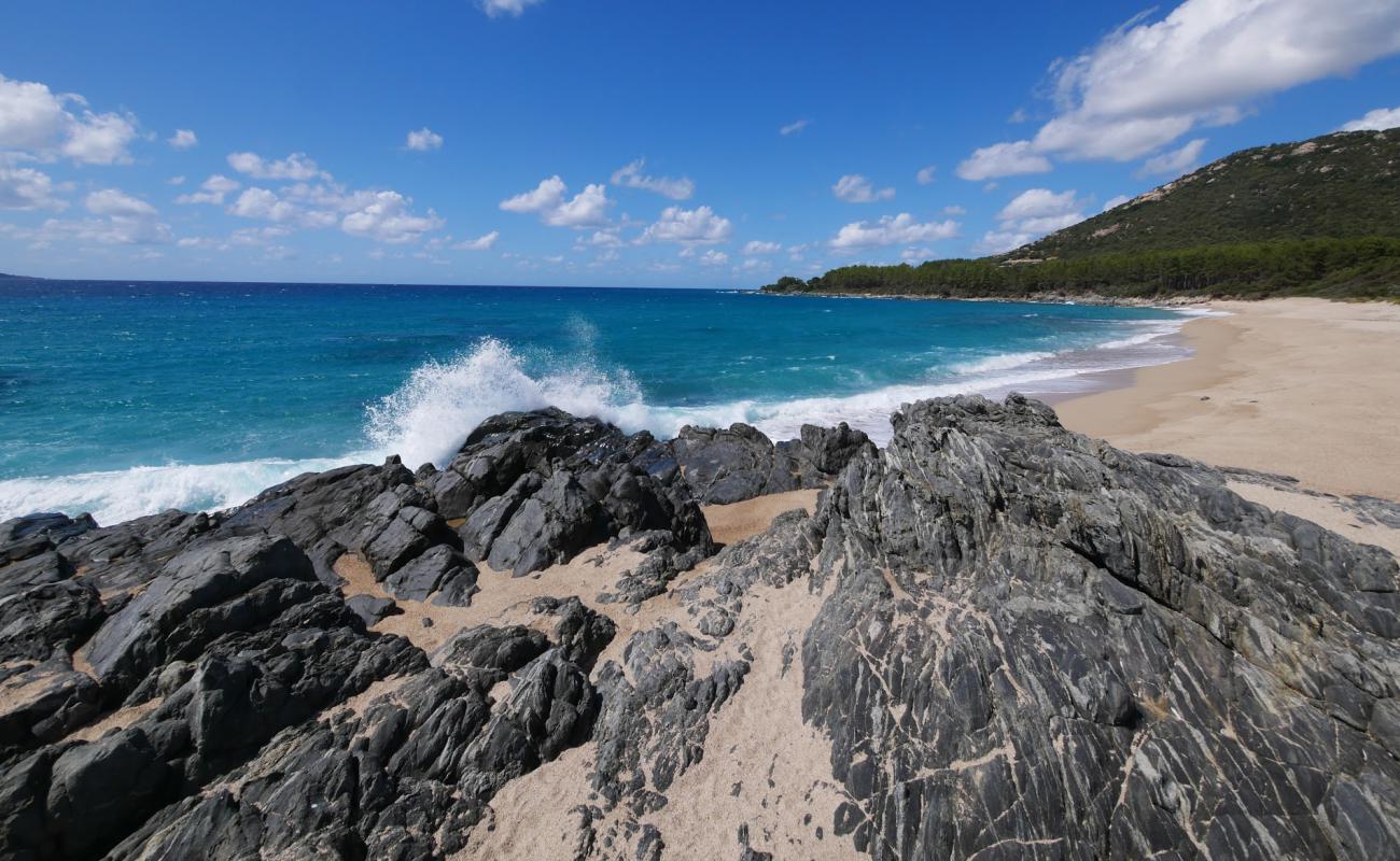 Scodi Neri beach'in fotoğrafı i̇nce bej kum yüzey ile