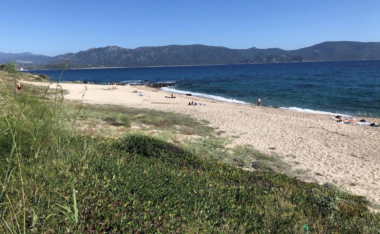 Scodi Neri beach II'in fotoğrafı i̇nce bej kum yüzey ile