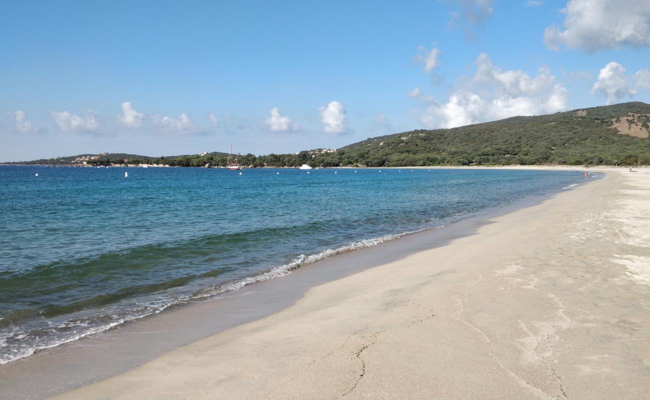 beach of Taravo'in fotoğrafı parlak ince kum yüzey ile