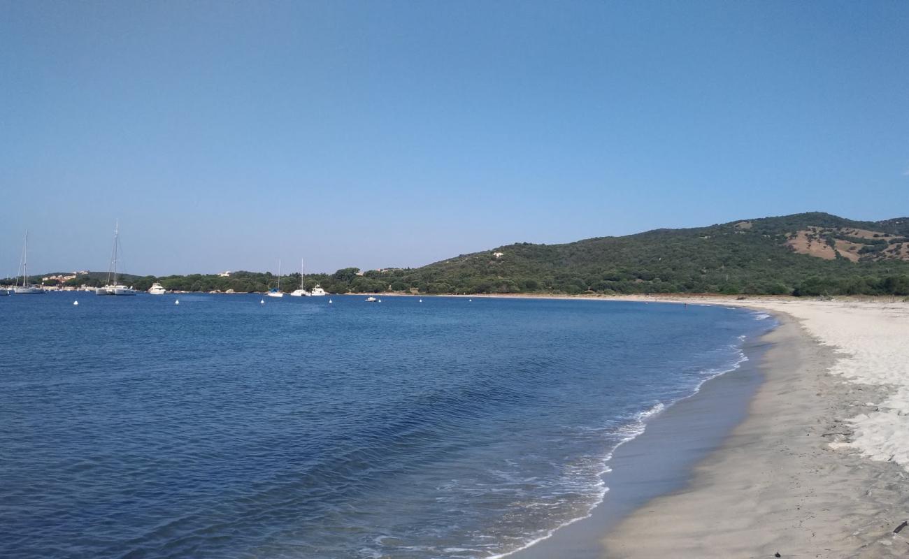 Caseddu beach'in fotoğrafı parlak ince kum yüzey ile