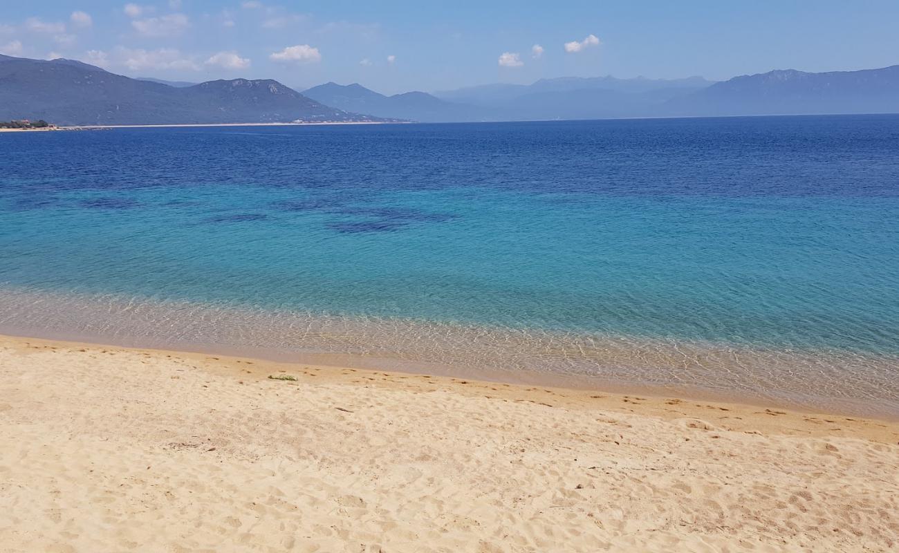 Porto Pollo beach'in fotoğrafı parlak ince kum yüzey ile