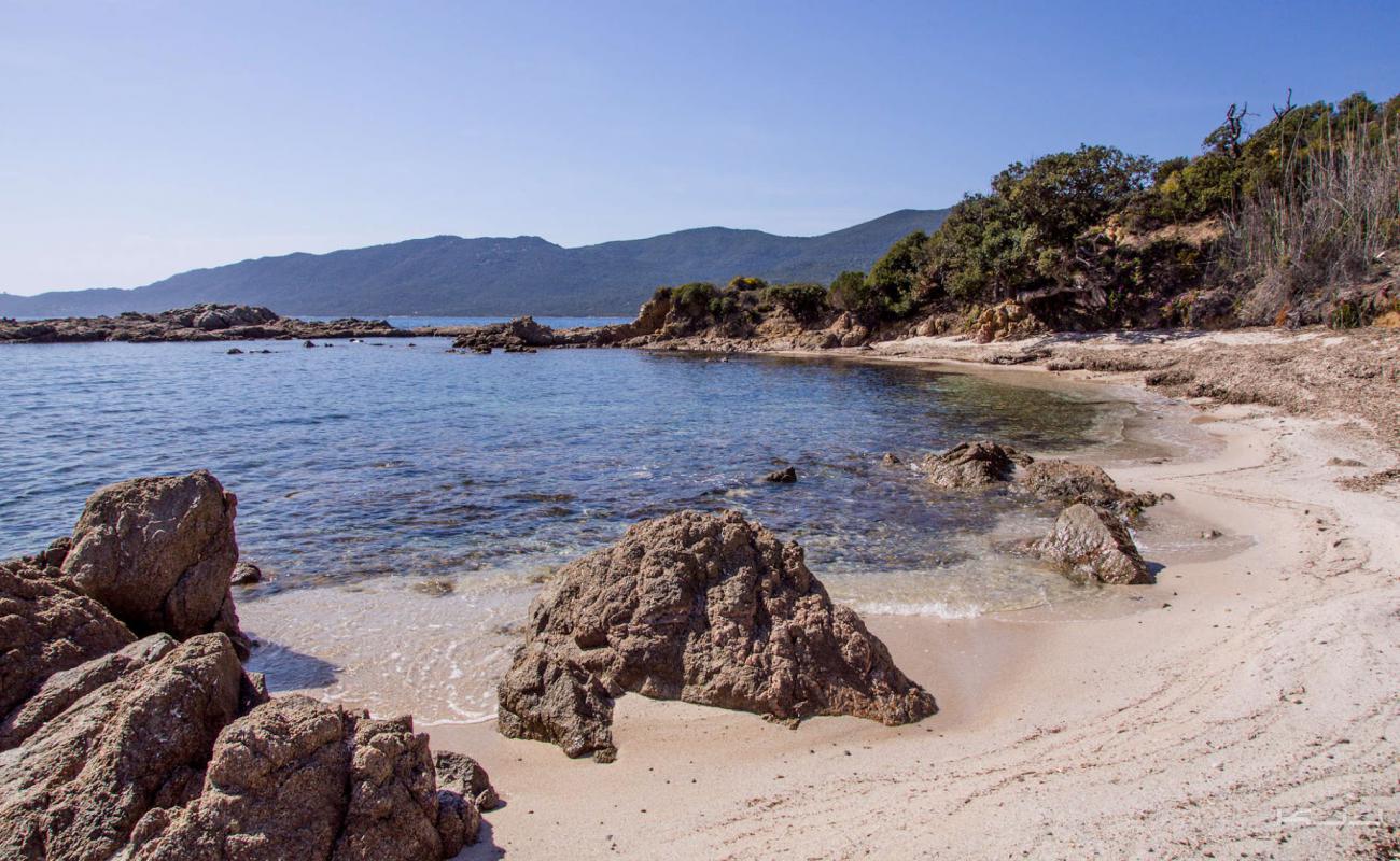 Capanella beach'in fotoğrafı parlak kum ve kayalar yüzey ile