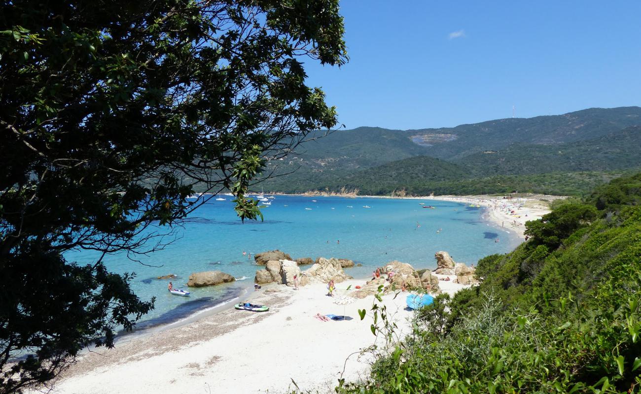 Cupabia Plajı'in fotoğrafı parlak ince kum yüzey ile