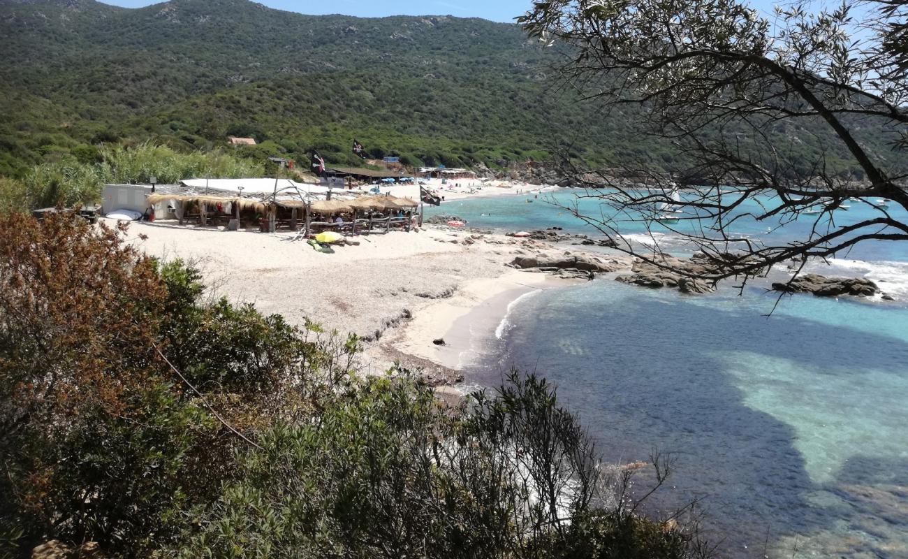 Cala d'Orzo'in fotoğrafı i̇nce bej kum yüzey ile