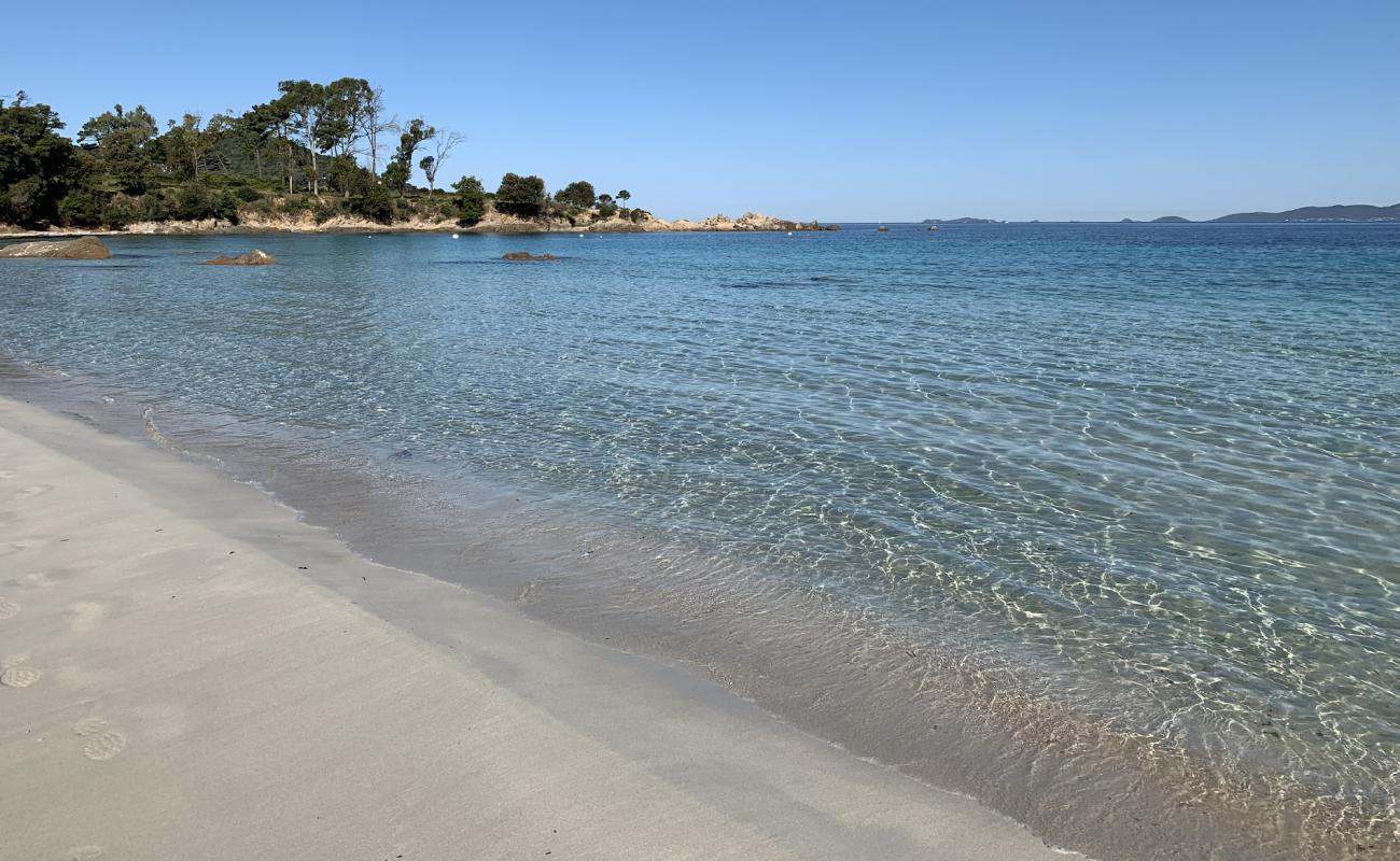 Mare E Sole Plajı'in fotoğrafı parlak ince kum yüzey ile