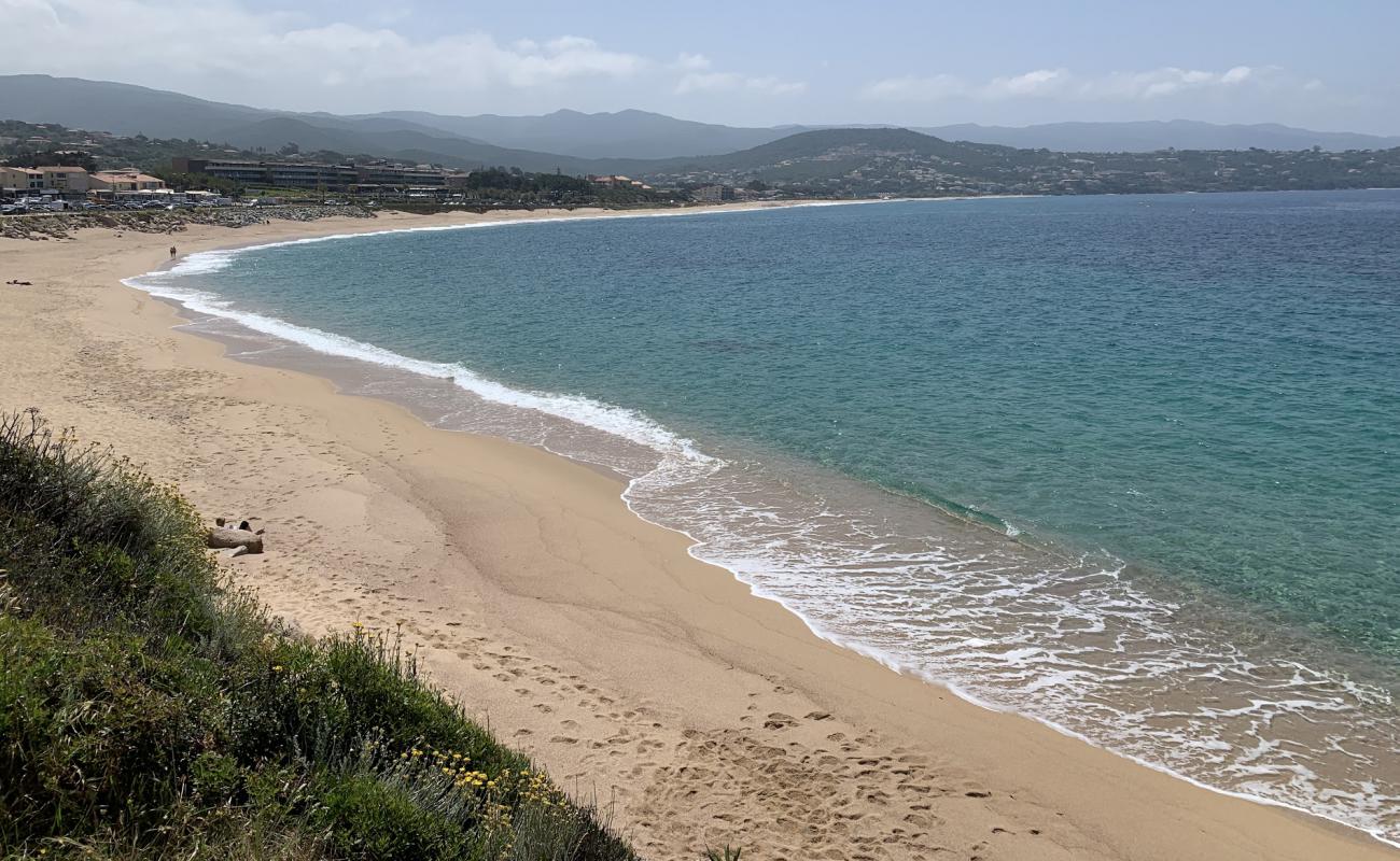 Agosta beach III'in fotoğrafı parlak ince kum yüzey ile