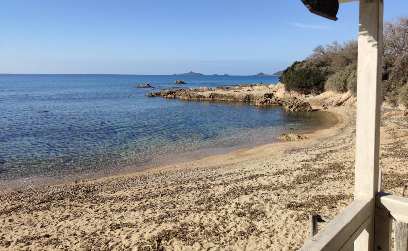 Scudo beach'in fotoğrafı açık bej kum yüzey ile