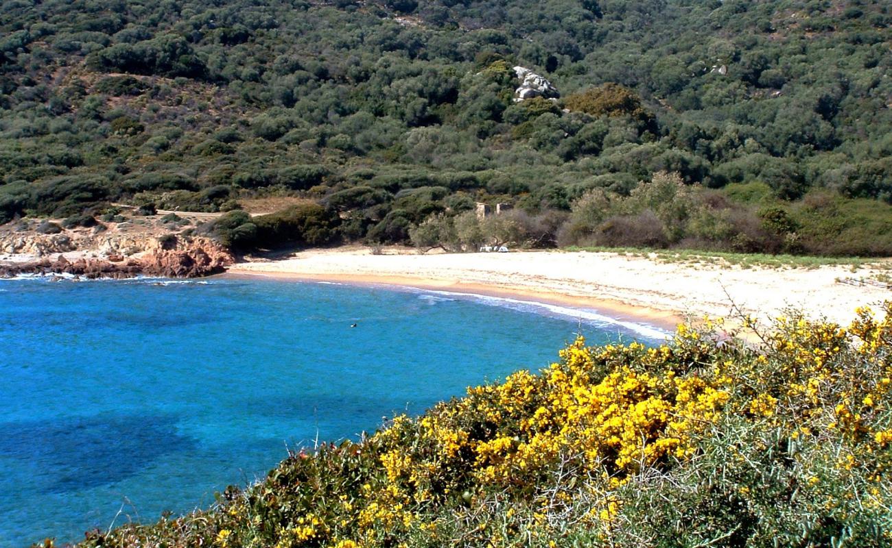 Cala Di Fico'in fotoğrafı parlak kum yüzey ile