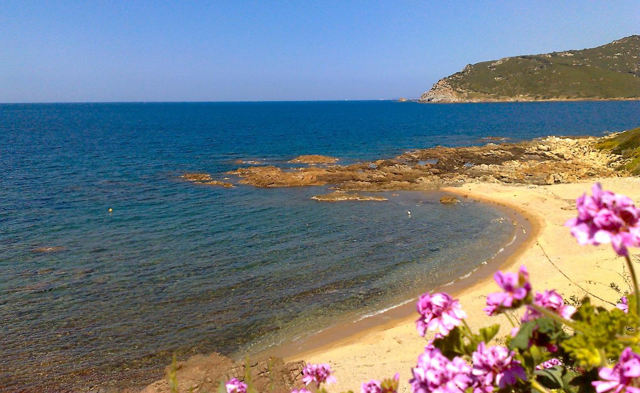 Villanova'in fotoğrafı açık bej kum yüzey ile