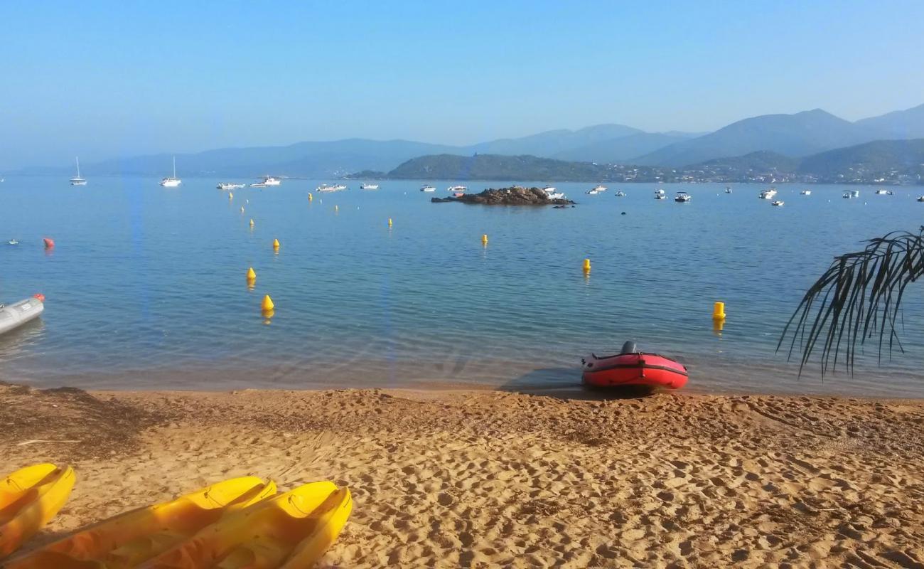 Orcino Marine'in fotoğrafı i̇nce bej kum yüzey ile