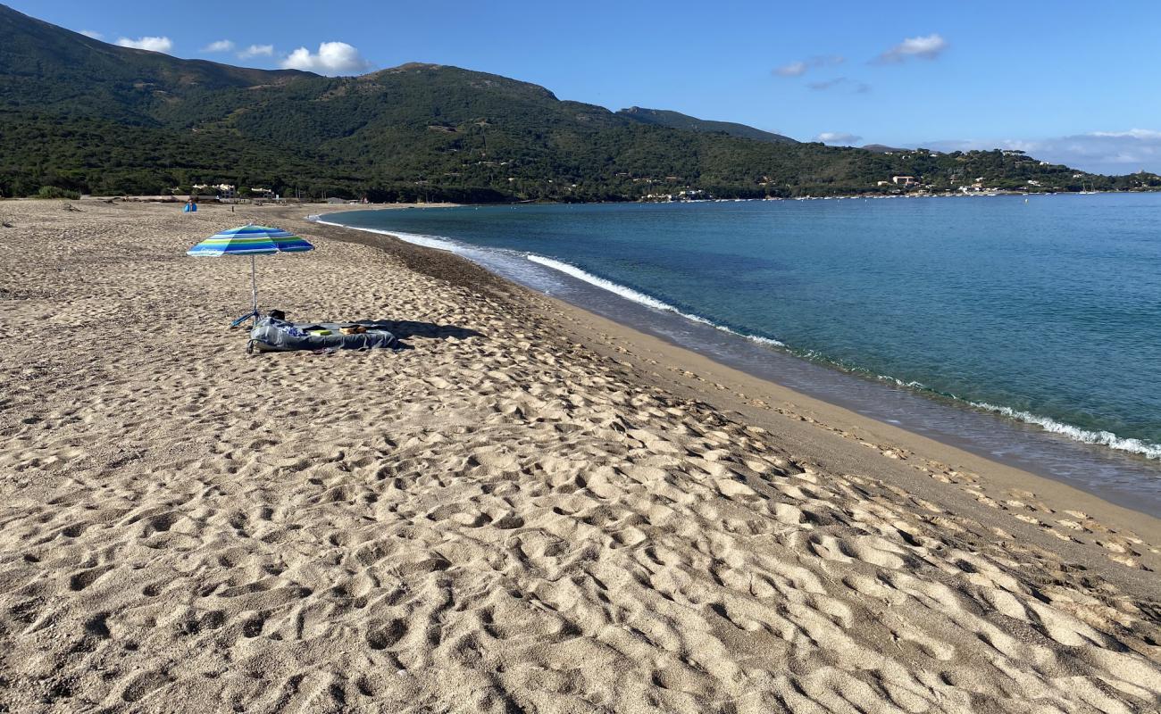 Stagnone Plajı'in fotoğrafı parlak ince kum yüzey ile