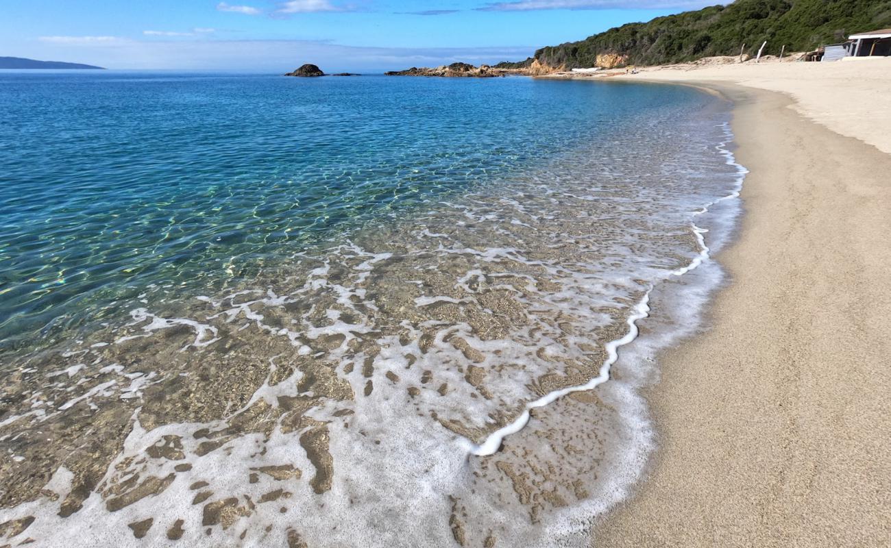 Liamone beach'in fotoğrafı parlak ince kum yüzey ile