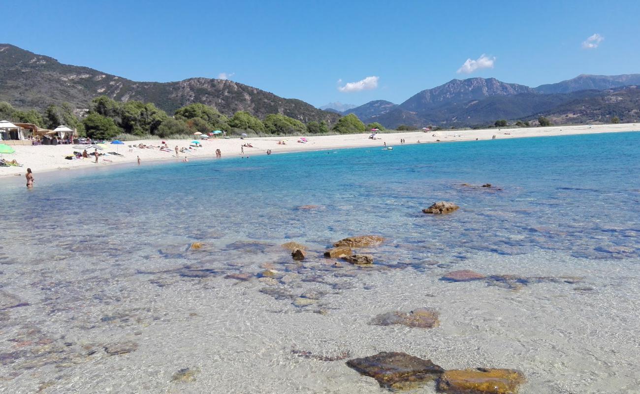 Liamone beach II'in fotoğrafı parlak ince kum yüzey ile