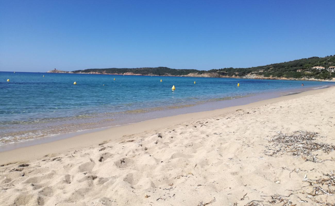 Peru beach'in fotoğrafı i̇nce bej kum yüzey ile