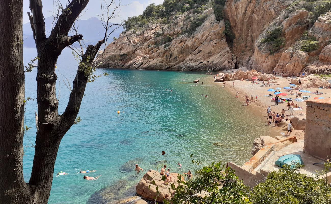 Ficaghjola beach'in fotoğrafı hafif ince çakıl taş yüzey ile