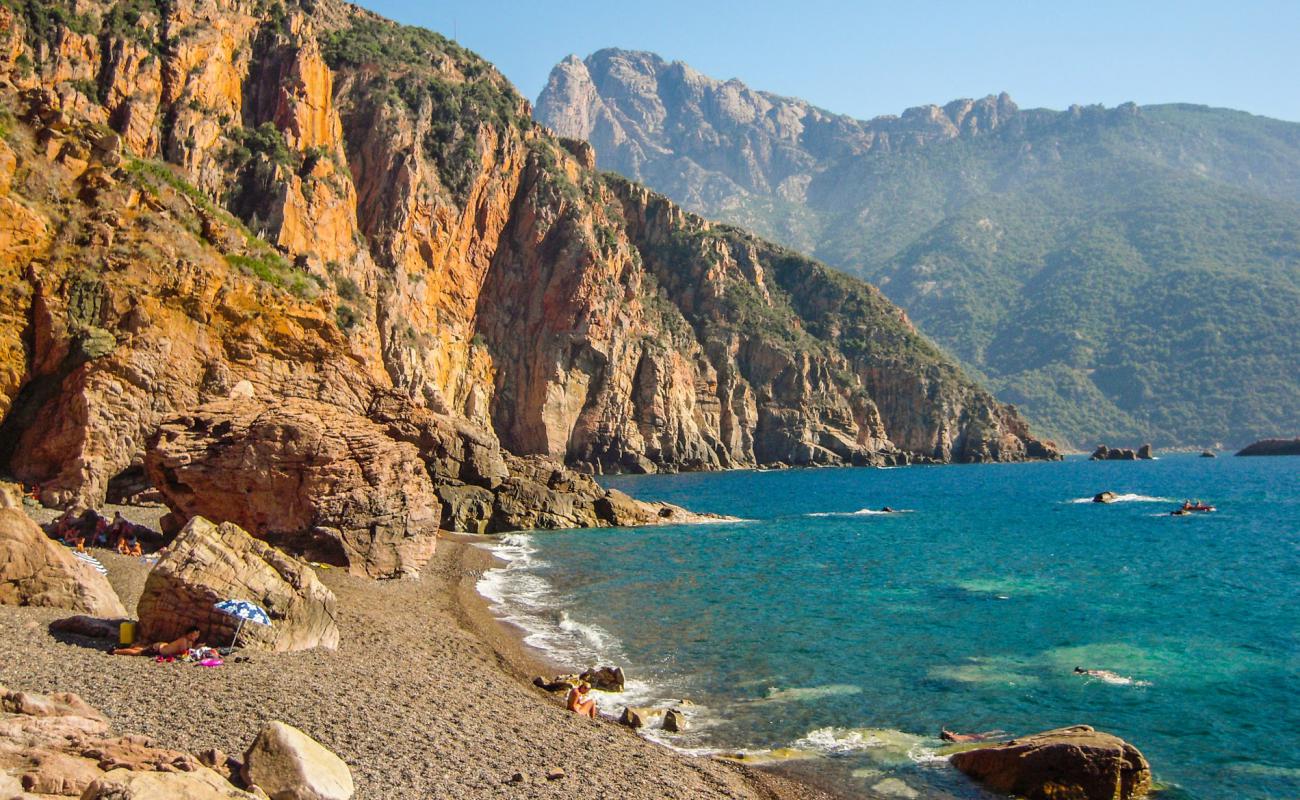 Bussaglia Plajı'in fotoğrafı kahverengi çakıl yüzey ile