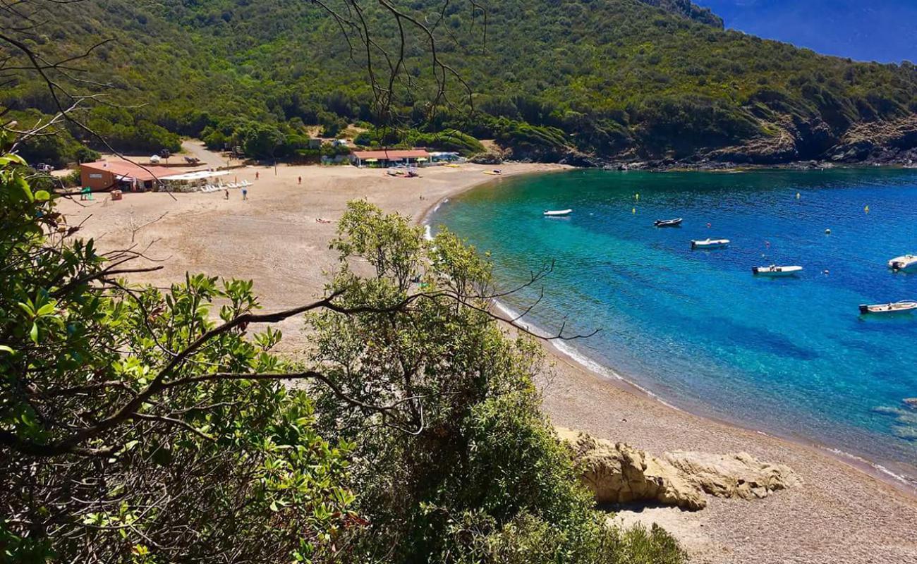 Punta Rossa II Plajı'in fotoğrafı açık bej kum yüzey ile