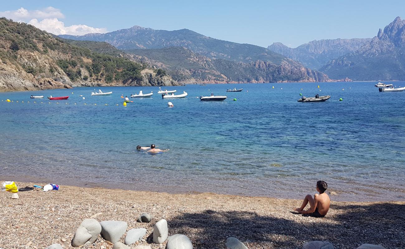 Punta Di Latone Plajı'in fotoğrafı hafif çakıl yüzey ile