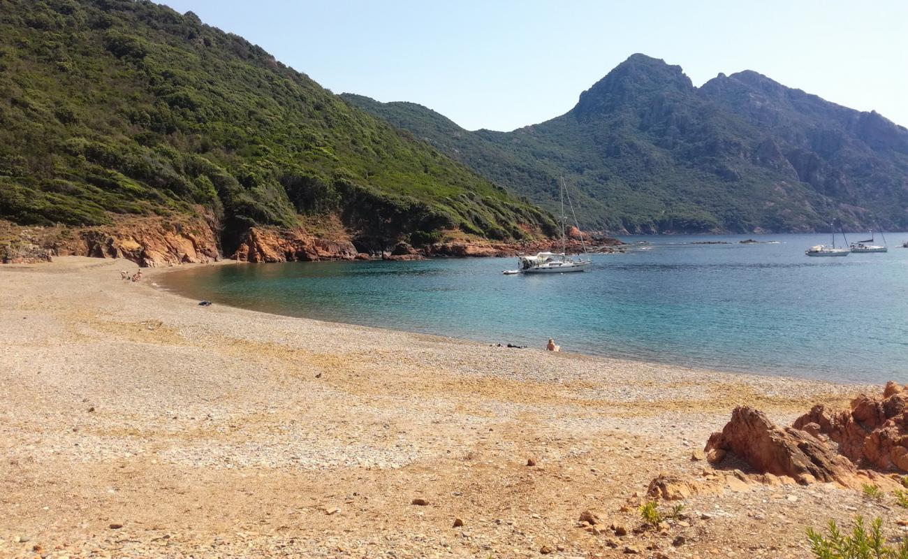 Osani beach'in fotoğrafı çok temiz temizlik seviyesi ile