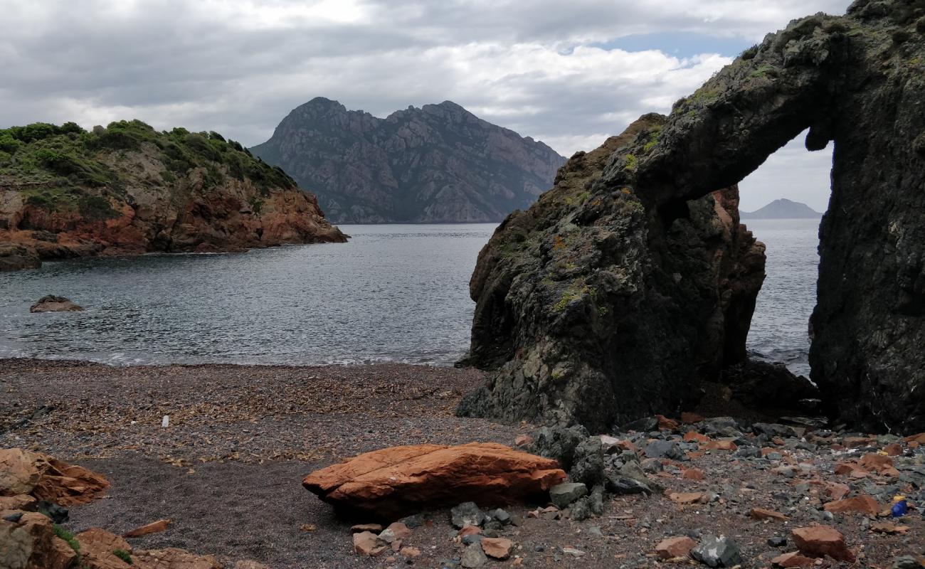 Cavone beach'in fotoğrafı gri çakıl taşı yüzey ile