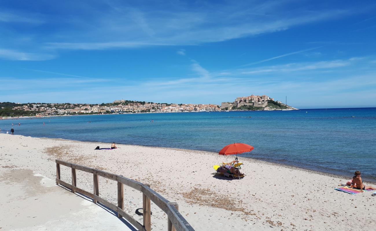 Calvi beach'in fotoğrafı parlak kum yüzey ile